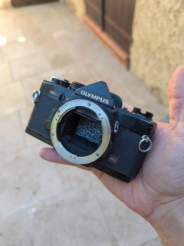 Olympus black - olympus, (schwarz)